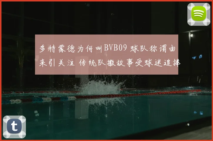 多特蒙德为何叫BVB09 球队称谓由来引关注 传统队徽故事受球迷追捧