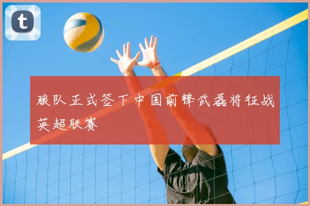 狼队正式签下中国前锋武磊将征战英超联赛