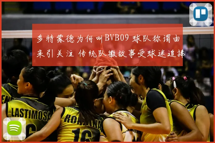 多特蒙德为何叫BVB09 球队称谓由来引关注 传统队徽故事受球迷追捧