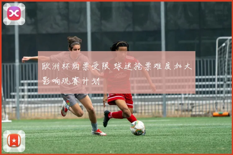 欧洲杯购票受限 球迷抢票难度加大影响观赛计划