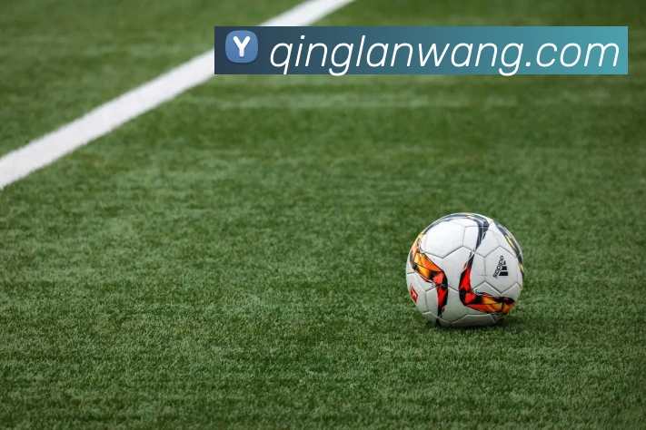 开云app官方入口网页版平台生态图